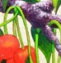 Cherry Blue (acrylics, metallic powders on canvas)